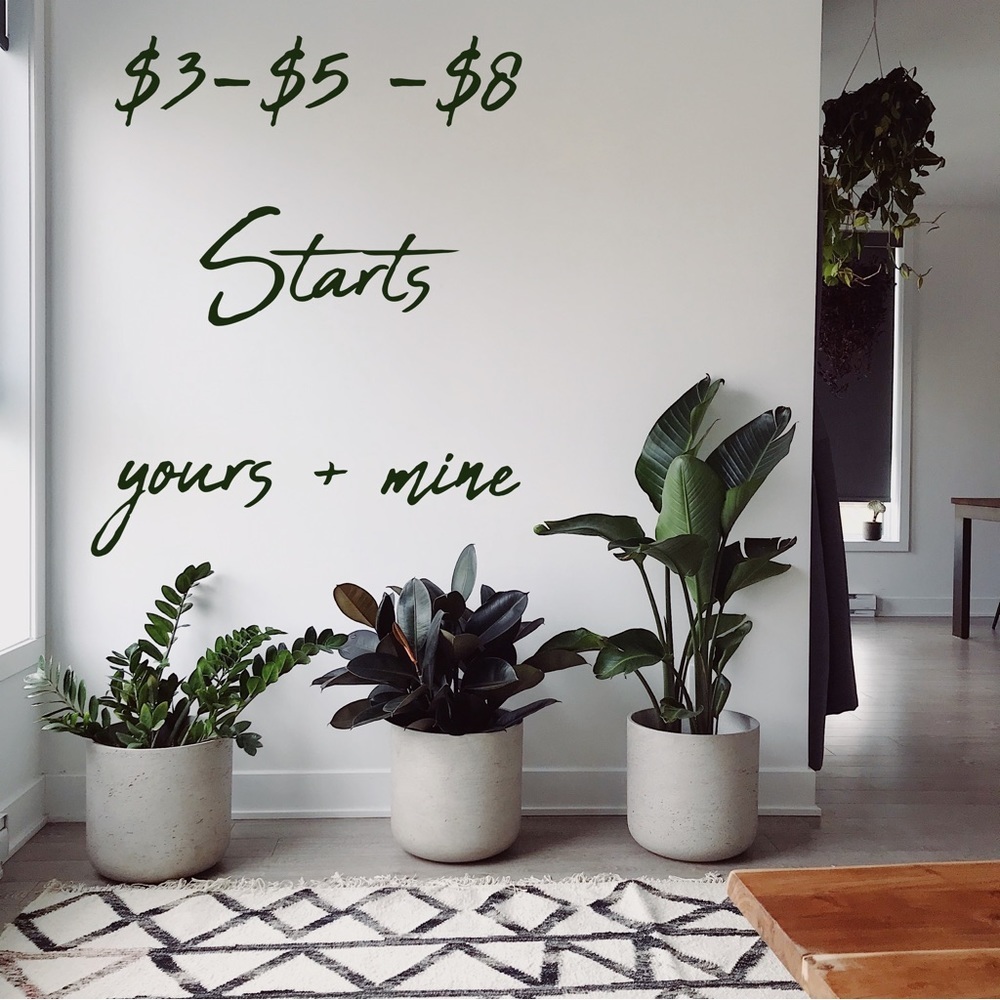 New Live Show Listing | - Picture 7 of 8